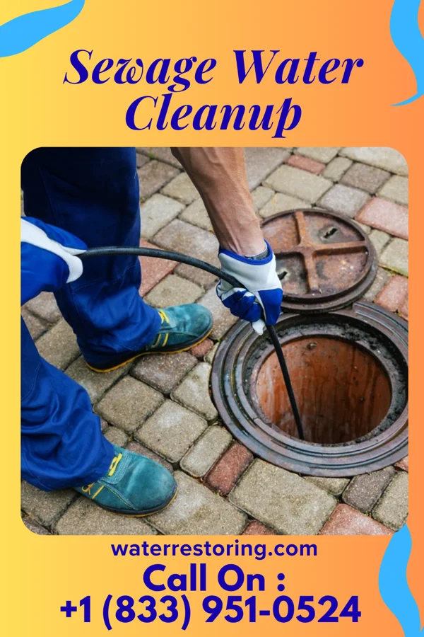 Sewage Water Cleanup in Antoine, AR