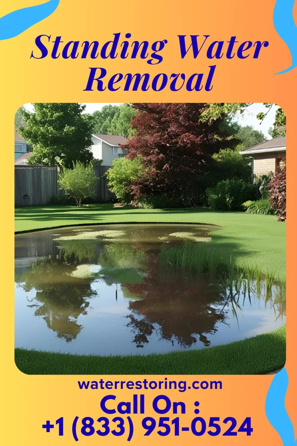 Standing Water Removal in Antoine, AR
